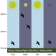 A visual abstract of the team’s findings on how moonlight affected the birds’ flight patterns.
